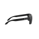 OAKLEY HOLBROOK OO9102/E1 OAKLEY HOLBROOK OO9102/E1